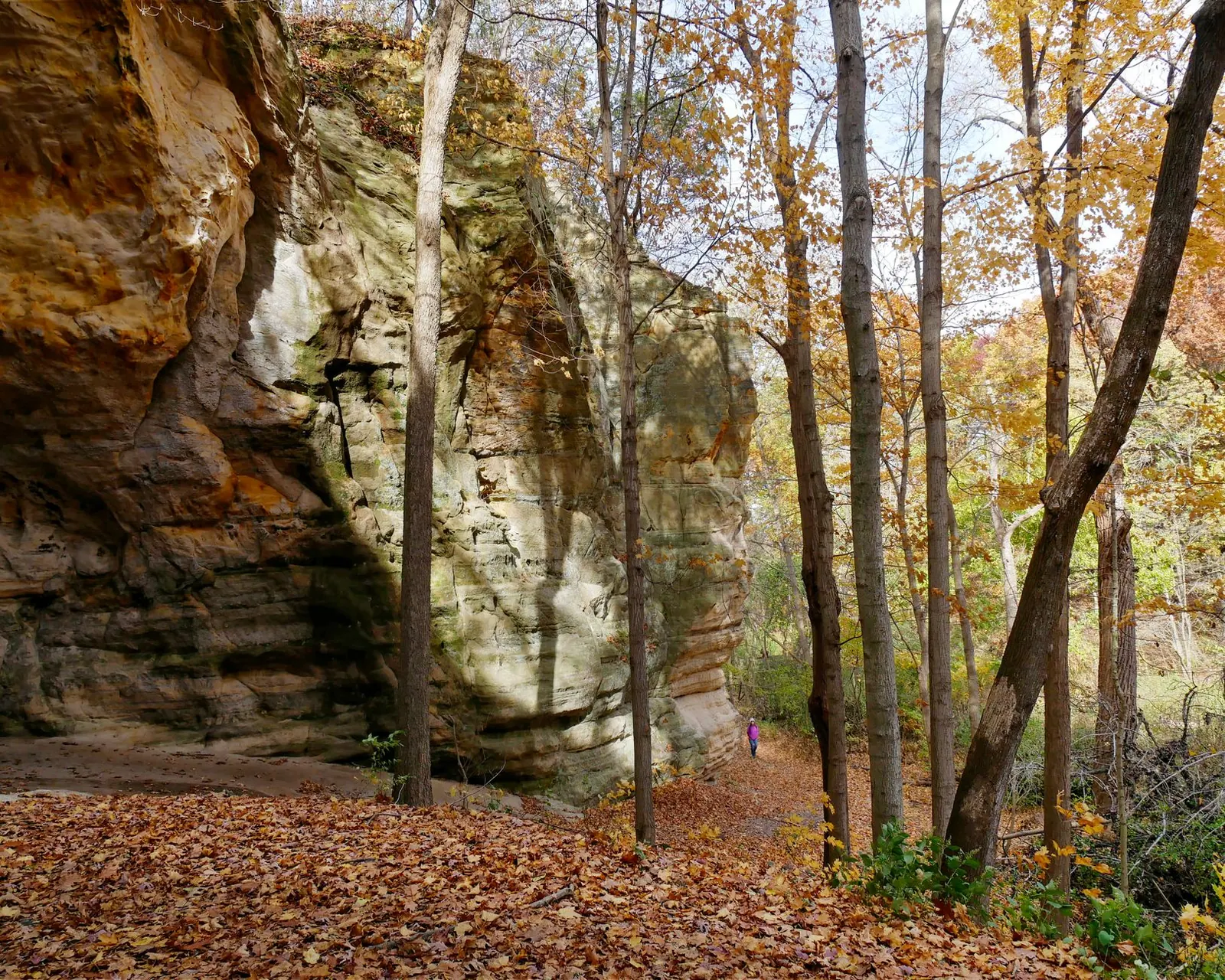 Where to See Fall Colors Near Chicago