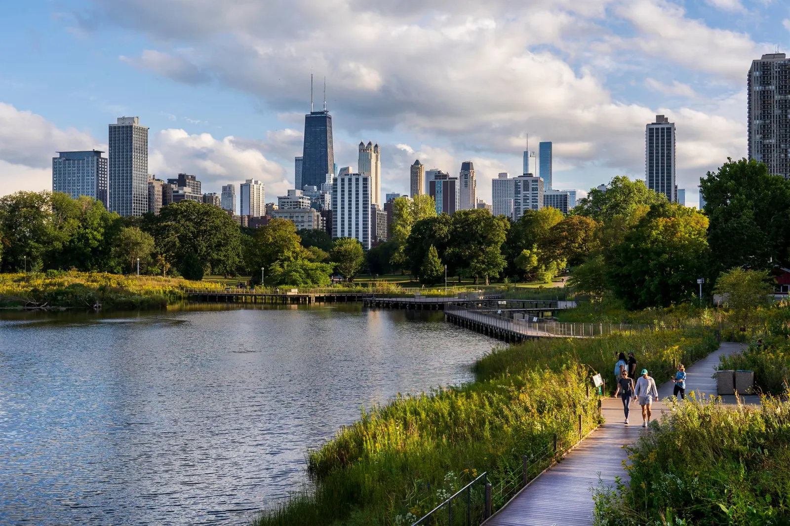 Boardwalk around a pond with the skyline beyond the trees