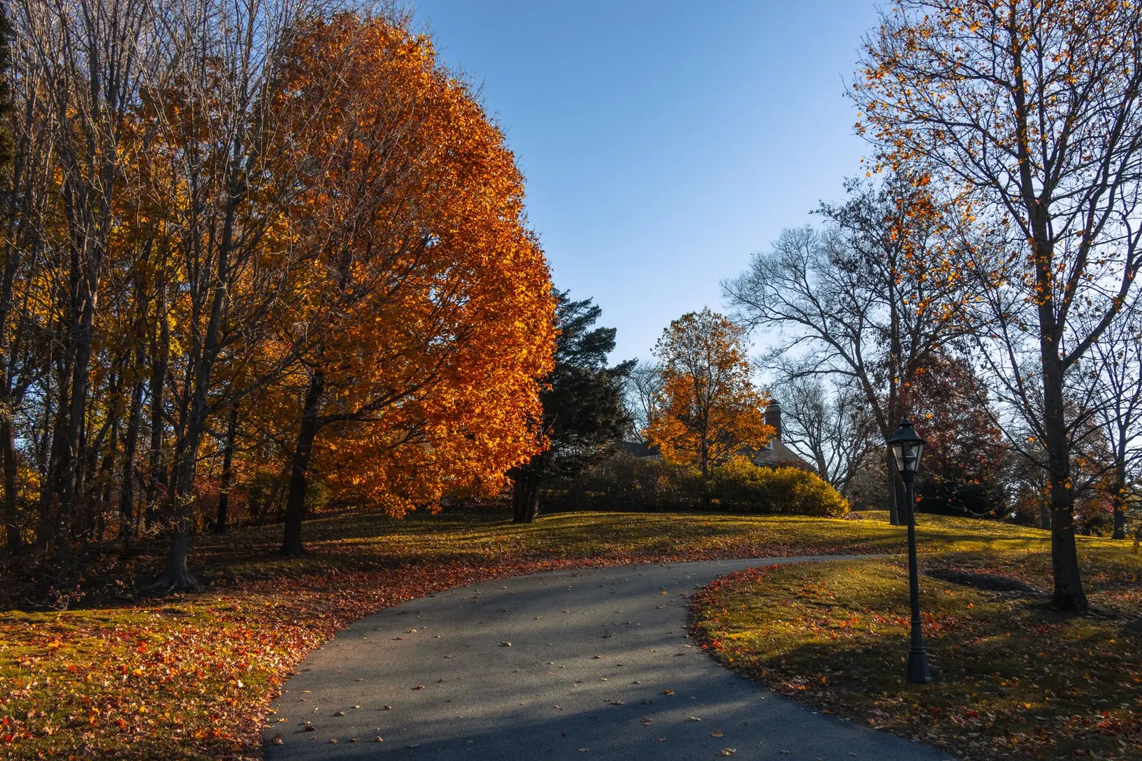 Morton Arboretum vs. Cantigny Park: Choosing a DuPage County Garden Day