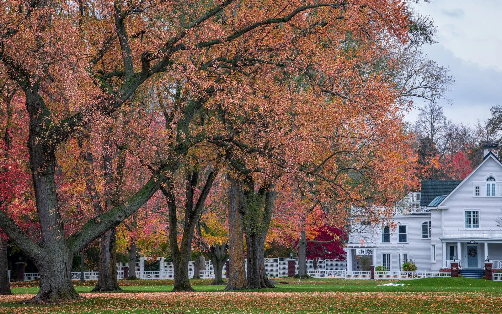 Oak Park: A Frank Lloyd Wright Day Trip by Train